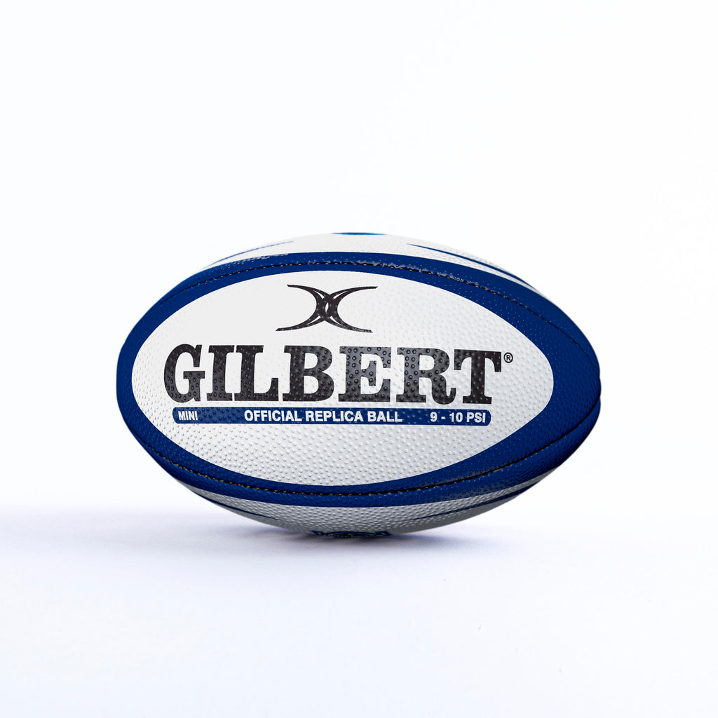 Newcastle Red Bulls Official Mini Replica Ball